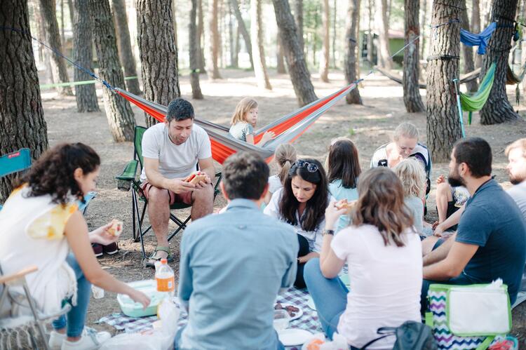 Mangal Piknik Mangal Piknik